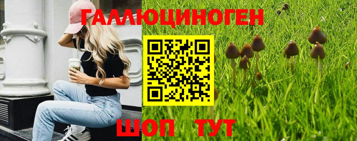 Псилоцибиновые грибы Psilocybine cubensis  Галлюциногенные грибы GOLDEN TEACHER  Вход с VPN  где купить наркоту  Омск 